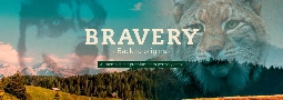 Bravery Marka Logosu