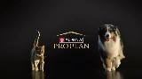 ProPlan Marka Logosu