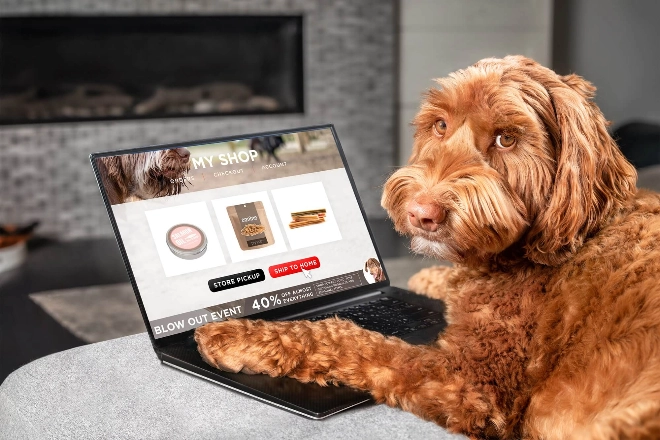 Alo Mama Eve Teslimat Hizmeti